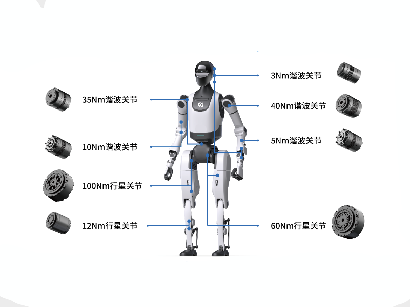 人形仿生机器人